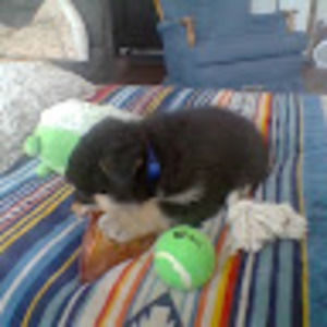 Meet your Posher, Amy